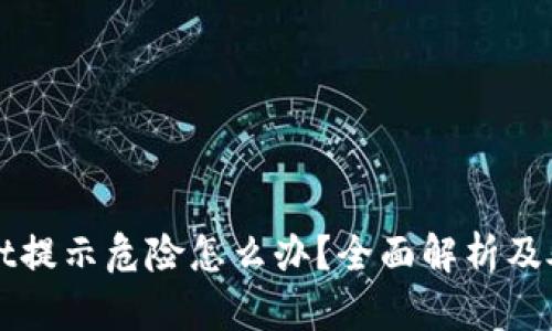 TPWallet提示危险怎么办？全面解析及处理指南