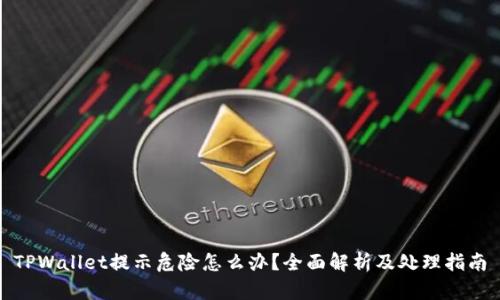 TPWallet提示危险怎么办？全面解析及处理指南