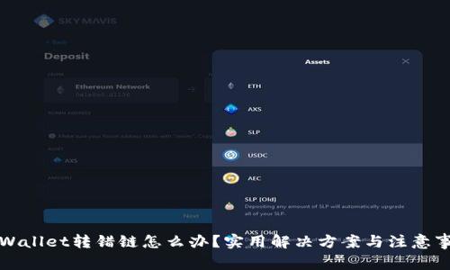 TPWallet转错链怎么办？实用解决方案与注意事项