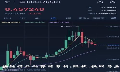 区块链行业的弊端分析：现状、挑战与未来