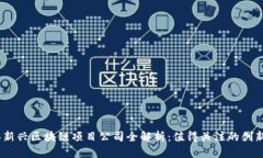 2023年新兴区块链项目公司全解析：值