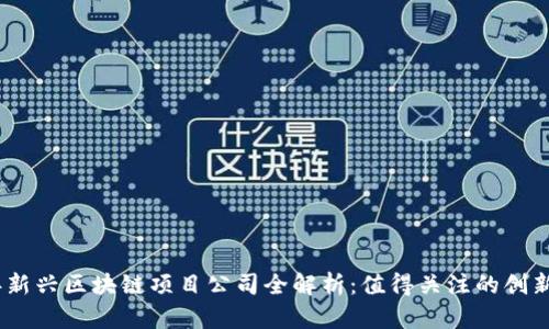 2023年新兴区块链项目公司全解析:值得关注的创新与机会