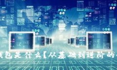 区块链钱包是什么？从基础到进阶的全