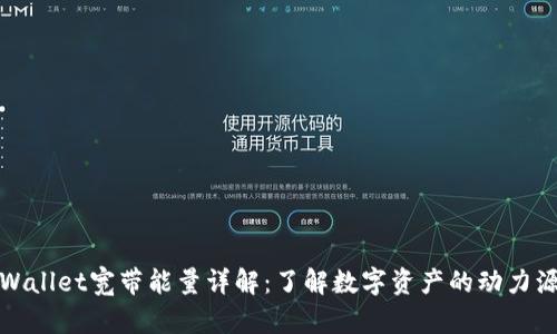TPWallet宽带能量详解:了解数字资产的动力源泉