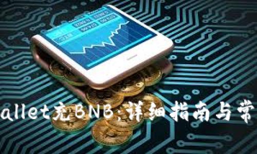如何往TPWallet充BNB：详细指南与常见问题解答