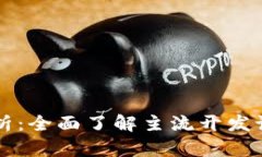 区块链技术解析：全面了解主流开发语