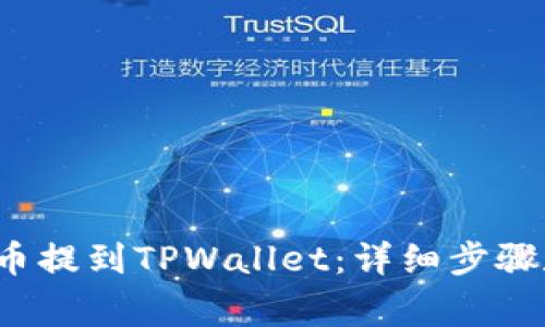 如何将FIL币提到TPWallet:详细步骤和注意事项