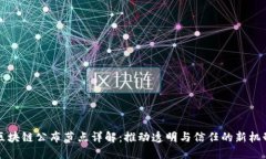 区块链公布节点详解：推动透明与信任