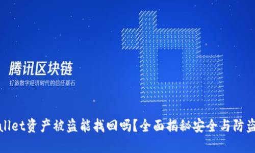 TPWallet资产被盗能找回吗?全面揭秘安全与防盗策略