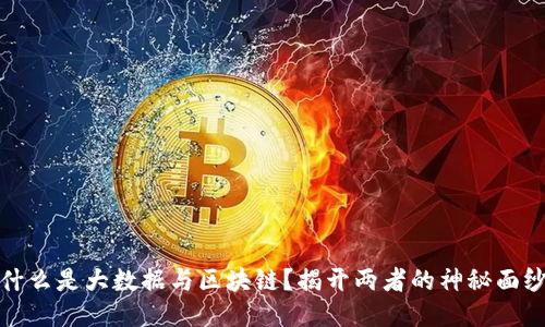 什么是大数据与区块链?揭开两者的神秘面纱