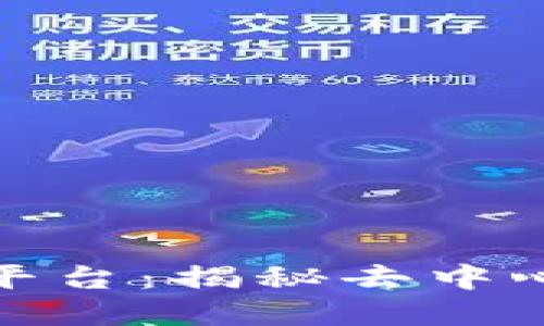 数字区块链转账平台:揭秘去中心化支付的新选择