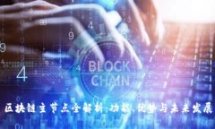 区块链主节点全解析：功能、优势与未