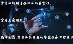 区块链中的骗局通常是指利用区块链技