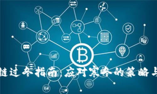 区块链过冬指南:应对寒冬的策略与机遇