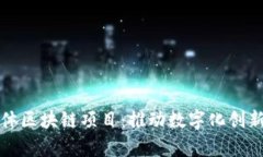 深入解析实体区块链项目：推动数字化