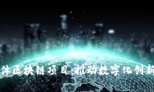 深入解析实体区块链项目:推动数字化创新的未来趋势