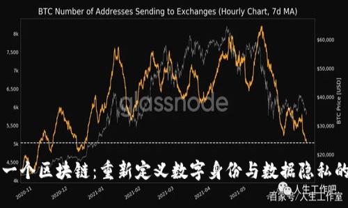 只有一个区块链:重新定义数字身份与数据隐私的未来