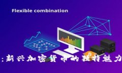 区块链狗币：新兴加密货币的独特魅力