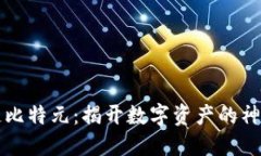 区块链比特元：揭开数字资产的神秘面