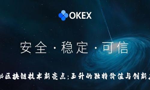 揭秘区块链技术新亮点：玉升的独特价值与创新应用