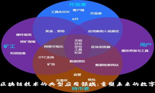 探索区块链技术的典型应用领域:重塑未来的数字经济