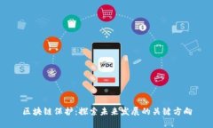 区块链保护：探索未来发展的关键方向