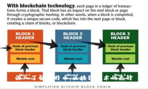 深入了解比特币：区块链技术的先锋