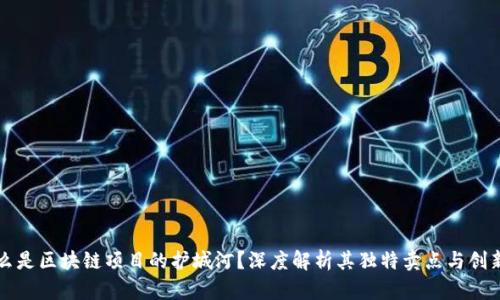 什么是区块链项目的护城河？深度解析其独特卖点与创新点